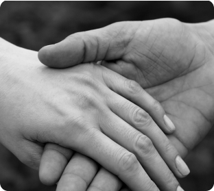 لا توجد وظائف حالياً